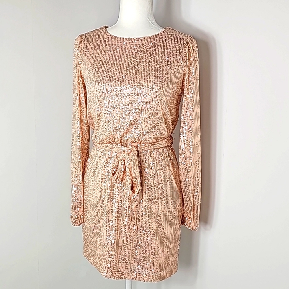 Crystal Sky Sequin Dress size Small